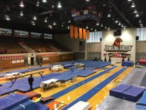 National Gymnastics Day in the gym