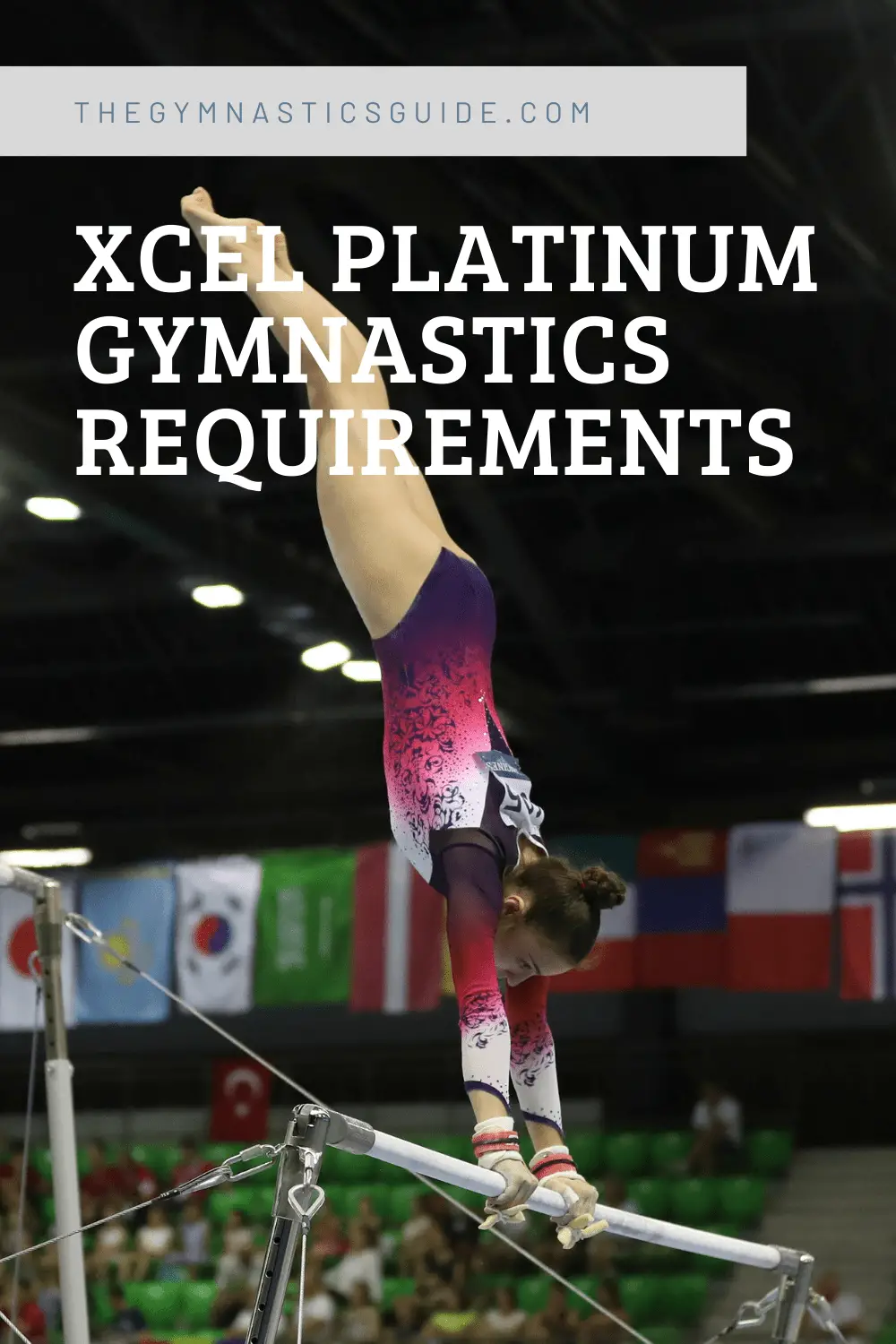 Xcel Platinum Gymnastics Requirements